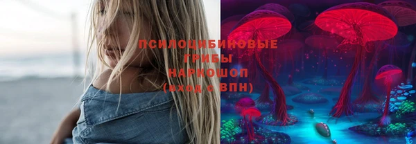 apvp Надым