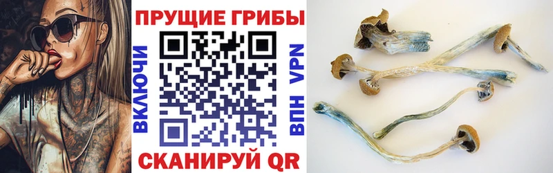 Галлюциногенные грибы Magic Shrooms  сайты даркнета наркотические препараты  Старая Русса 