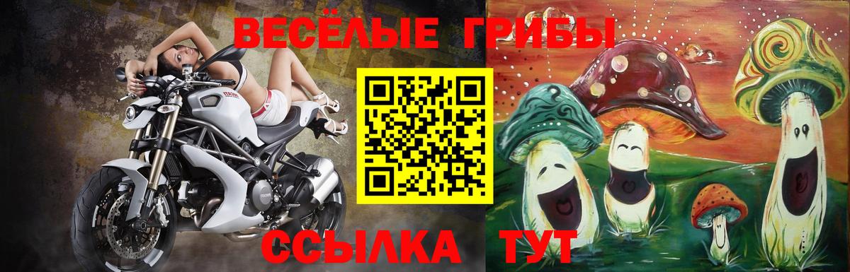 Псилоцибиновые грибы ЛСД Старая Русса